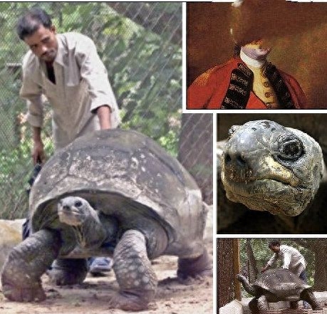 地球上10大堪称奇迹的动物,爱尔兰大鹿死而复生,腔棘鱼再被发现